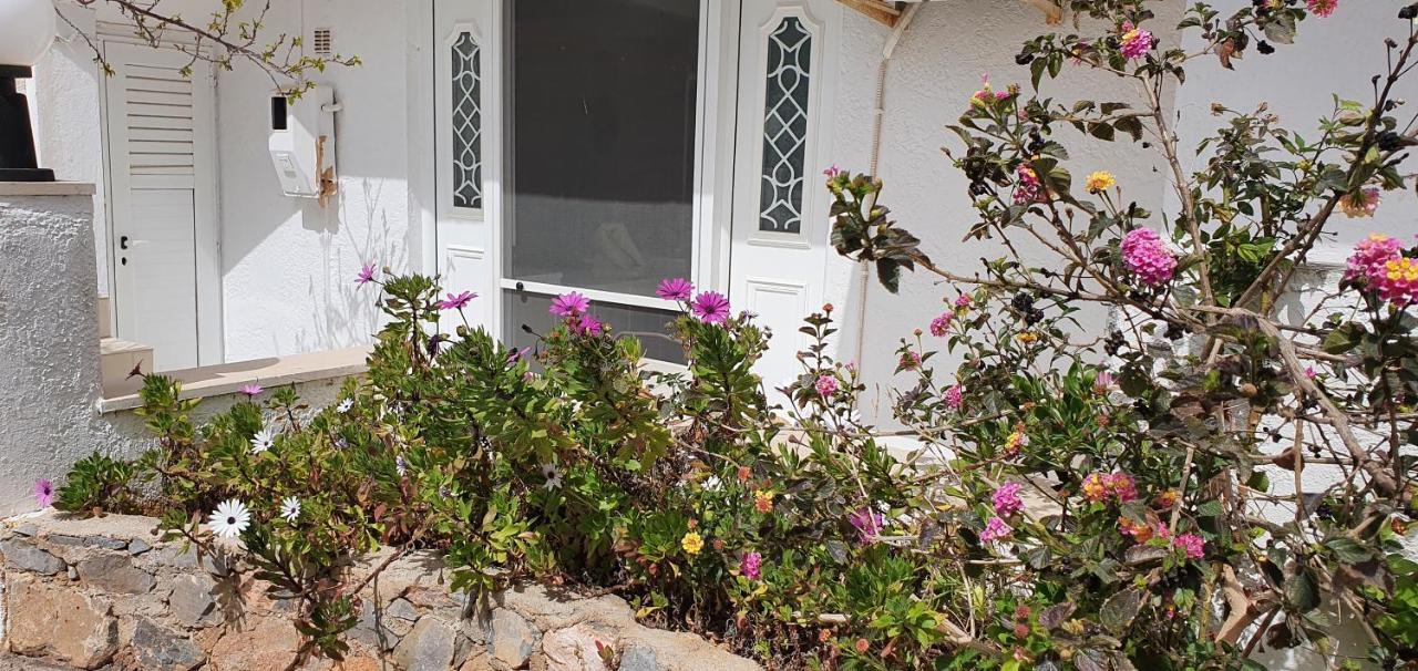 Ailamakis Apartements Zakros Exterior photo